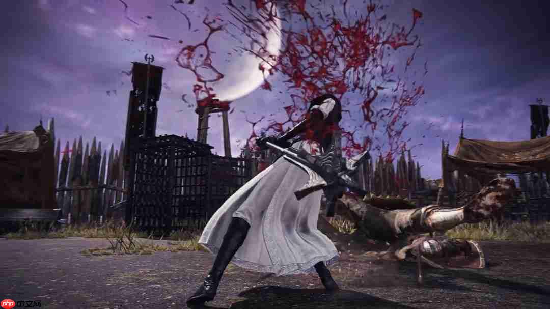 翘臀修女姐姐！《艾尔登法环黑夜君临》DLC角色PV：送葬者