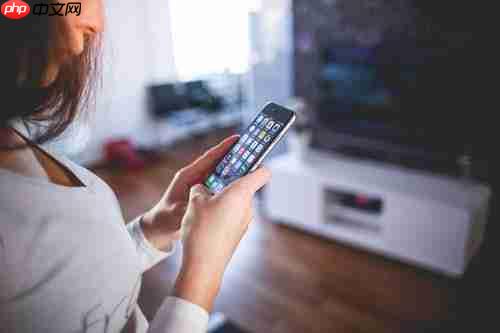 冰火两重天：前10个月手机通话继续下降 短信却大增18.8%