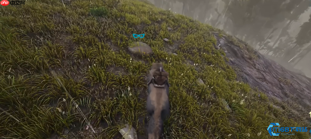 驯服恐狼组建无敌狼群：全面解析实用战斗与探索技巧