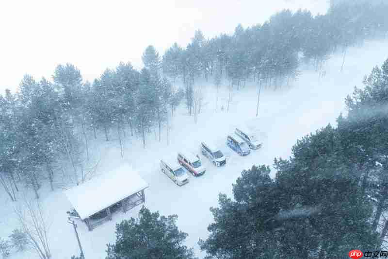 从杭州到漠河，温差50度，vala多款车型横跨半个中国的极寒挑战