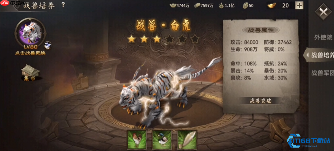 战兽系统完全指南：从解锁到国战妙用