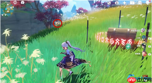 弩丘丘人宝箱解谜终极指南：元素视野与风之种技巧大揭秘