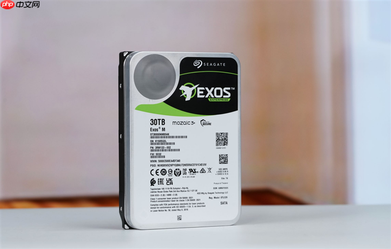 HAMR与CMR加持的稳定可靠企业级硬盘！希捷银河Exos M 30TB评测：读取逼近300MB/s