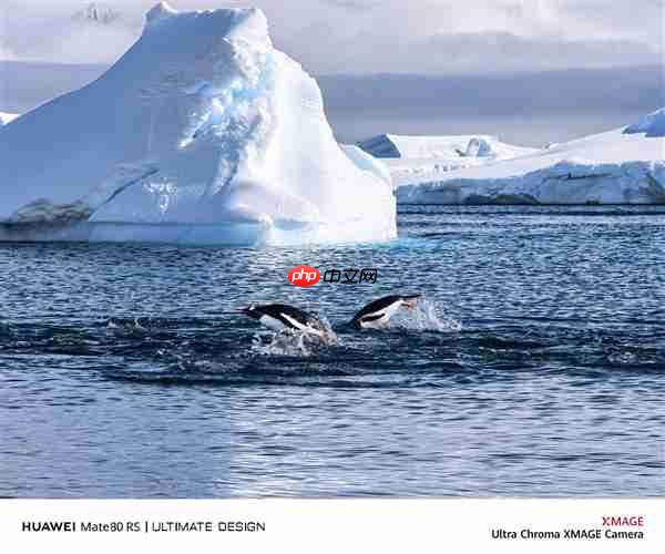 何刚晒华为Mate 80系列实拍样张：红枫影像色彩表现一绝