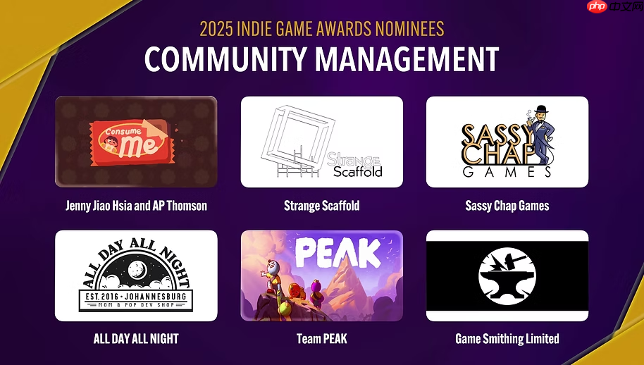 2025独立游戏大奖年度名单公布！新加入“LGBT”奖