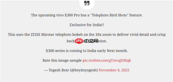 传vivo X300 Pro印度版支持超远距摄鸟 或12月发布