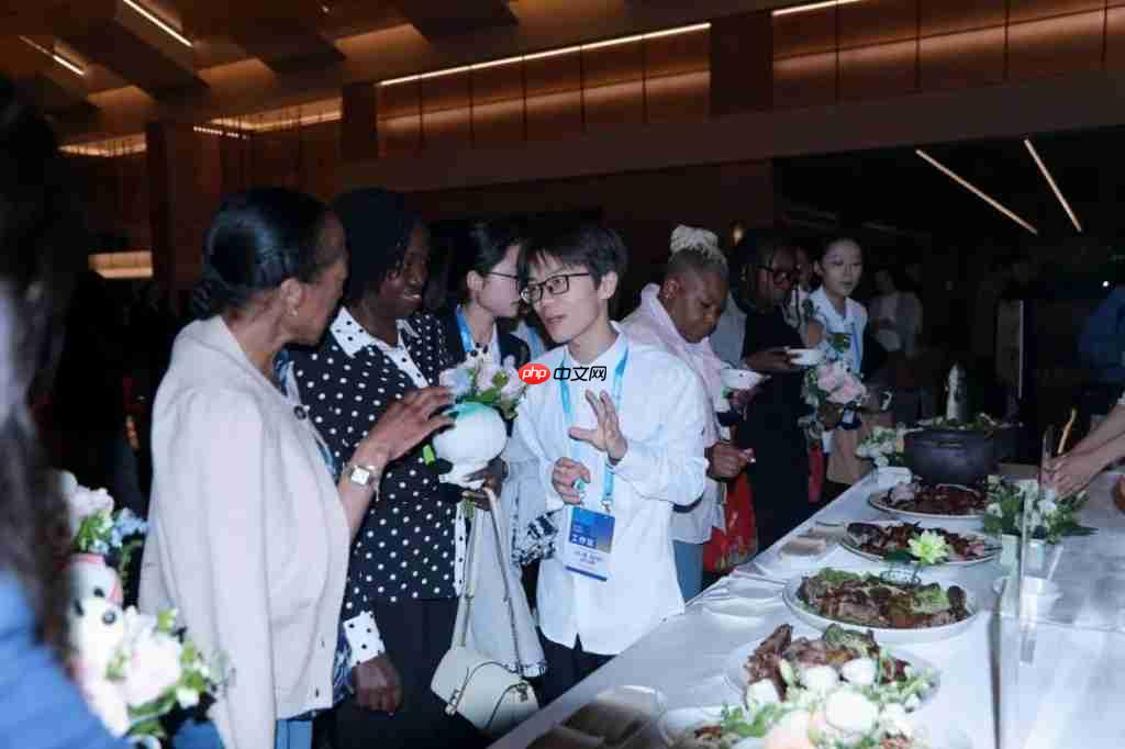 “国际朋友圈”扩容！11国驻华大使为雨城点赞 ——“‘一带一路’乡村振兴·文化交融”驻华大使走进雨城区公益交流活动侧记