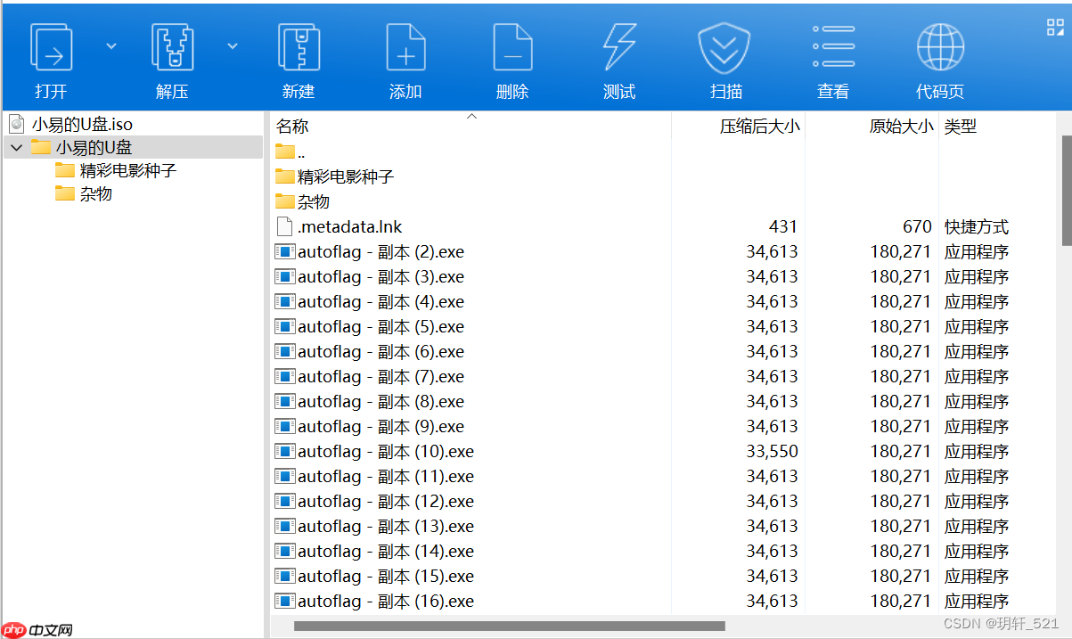 BUUCTF 小易的U盘 1