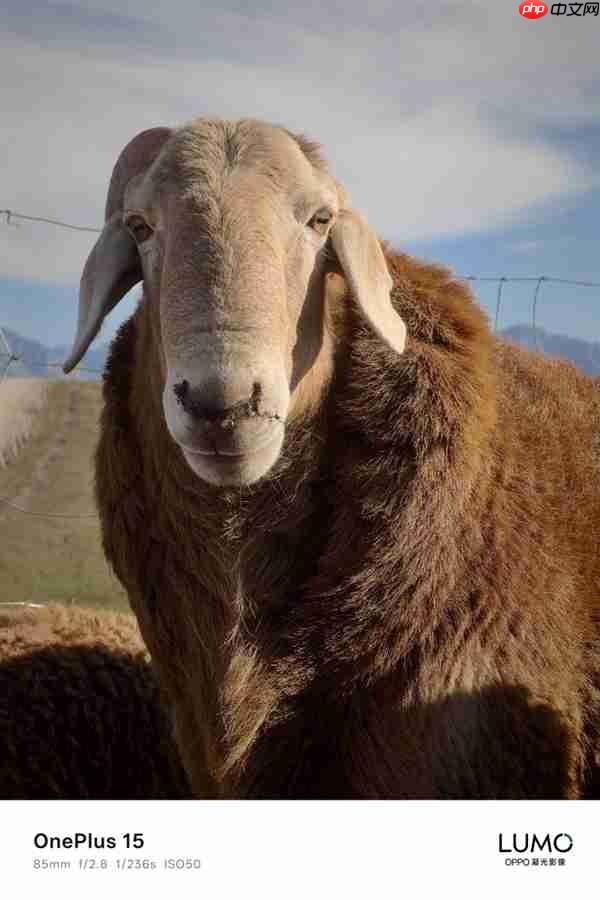 一加哈苏合作结束：一加15首次搭载OPPO LUMO凝光影像