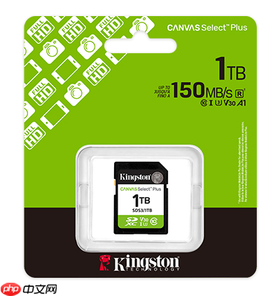 扩容刚需 金士顿新款CanvasPlus存储卡