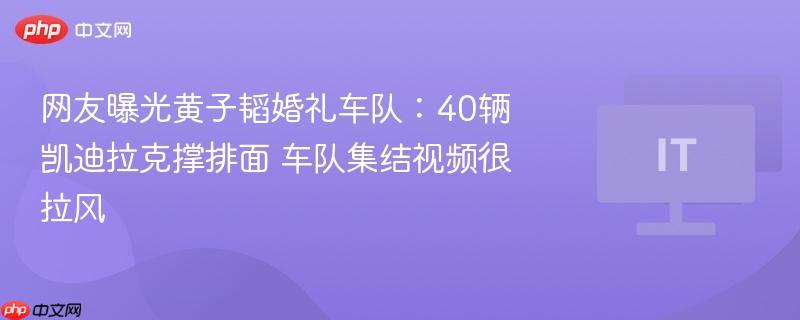网友曝光黄子韬婚礼车队：40辆凯迪拉克撑排面 车队集结视频很拉风