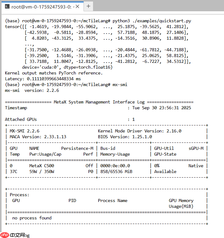 全网首个国芯 TileLang 在线体验环境，就在模力方舟！
