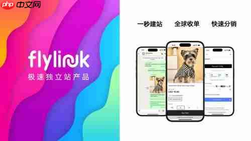 FlyLink 以创新商业模式入选世界互联网大会跨境电商实践案例集