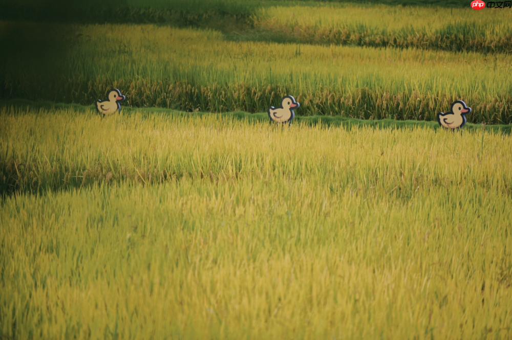 【ANAPANA安纳班纳·泰宁】开业礼成 观度首个自然遗产度假目的地正式启航