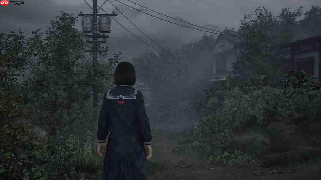 美国玩家炸锅 《寂静岭f》免费赠品被黄牛高价转卖