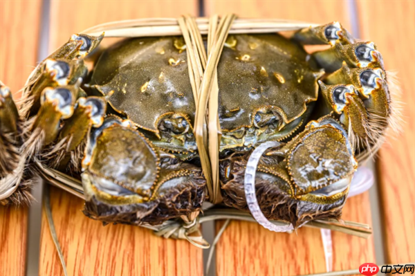 开湖！第一篓阳澄湖大闸蟹由顺丰无人机捞起