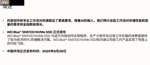 专为内容创作、AI应用打造的存储设备来了！闪迪媒体分享会展示新款SN5100 SSD