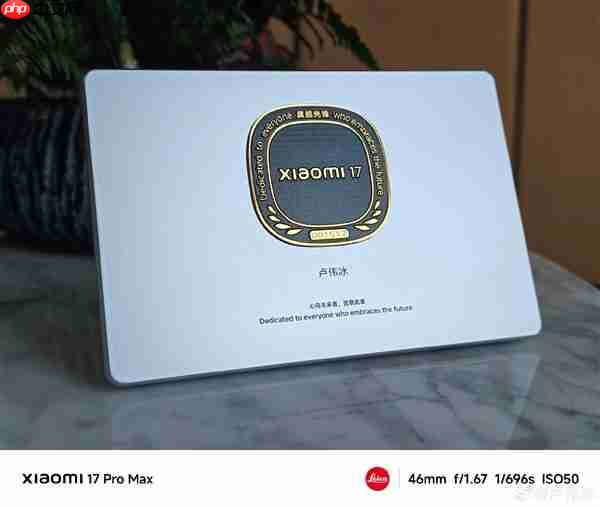 卢伟冰晒小米17系列定制实体勋章：限量10000份 极具收藏价值