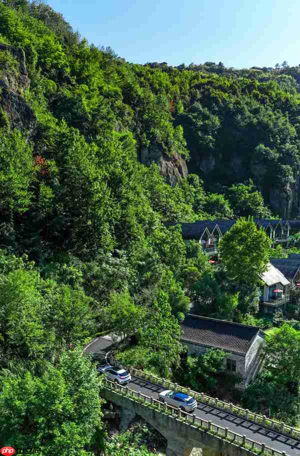 安岚与极氪跨界联名 共赴一场「向野而行」的奢华浪漫