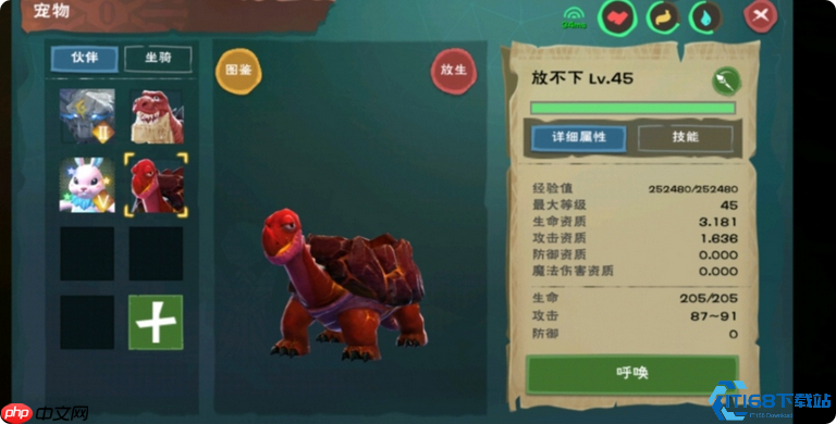 龟饲料制作终极手册：高效捕捉全系龟宠指南