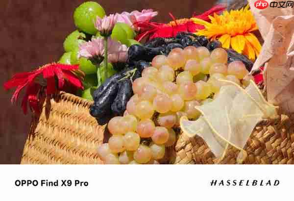 刘作虎晒OPPO Find X9 Pro样张 掀手机影像画质革命