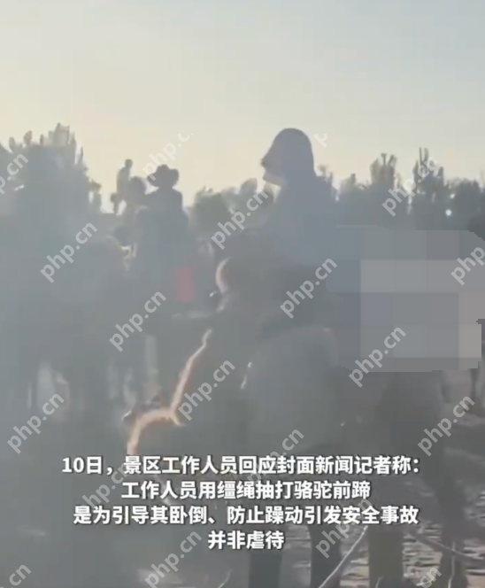 游客拍骆驼挨打被要求删视频 工作人员：事发时骆驼情绪不稳定 - php中文网