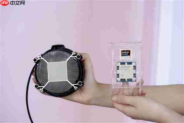 新一代的千元神U！AMD锐龙5 9500F处理器图赏