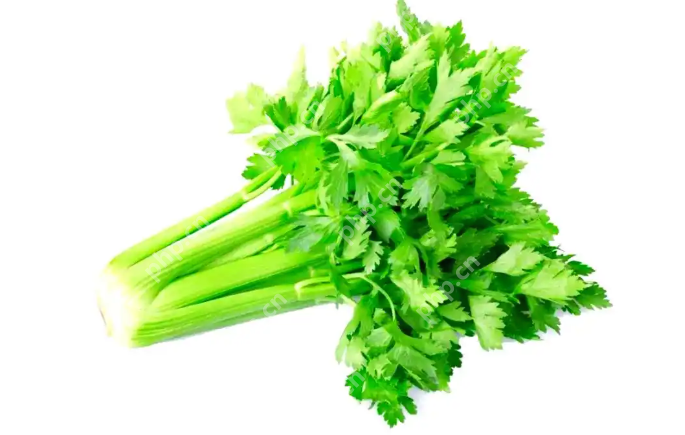 告别浪费：超实用的家庭常见蔬菜保鲜技巧大全 - php中文网