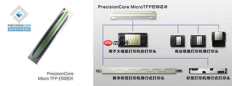 一粒墨滴的逆袭：爱普生黑科技如何让打印“快准省”