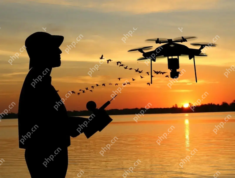 人机“黑飞”猖獗 公安部公布典型打击案例 - php中文网