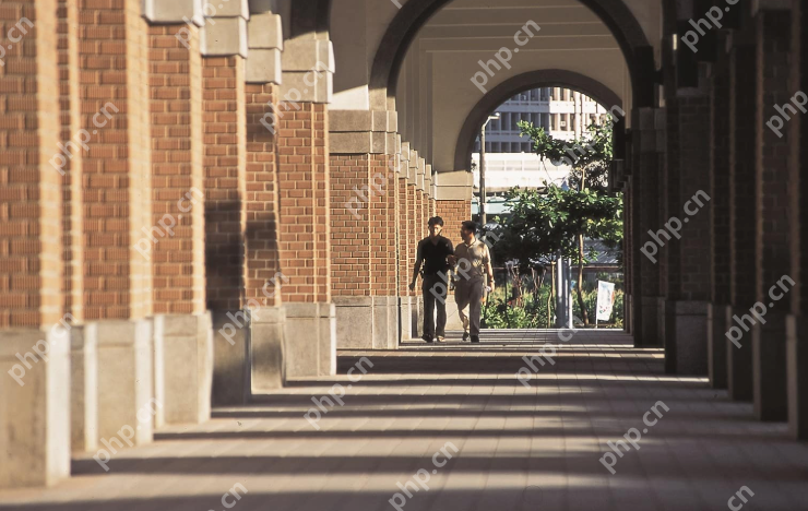 985大学排行榜 国内985大学前十名榜单 - php中文网