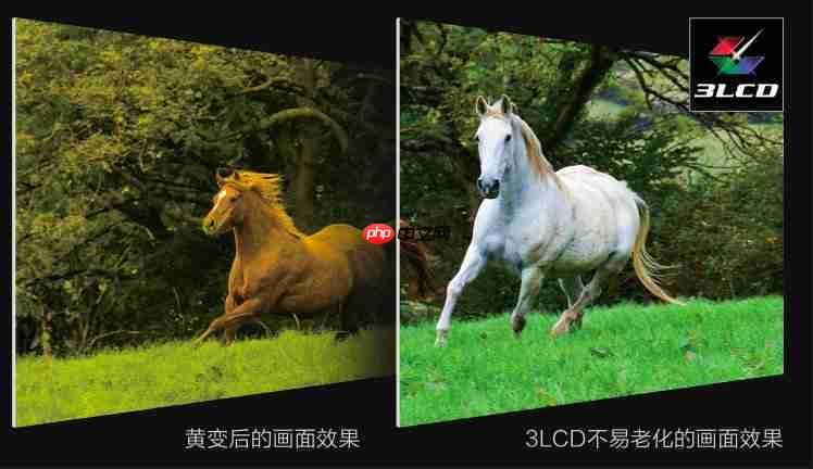 4K影院新突破！爱普生专业家庭影院CH-LS9000带来专业审片级体验