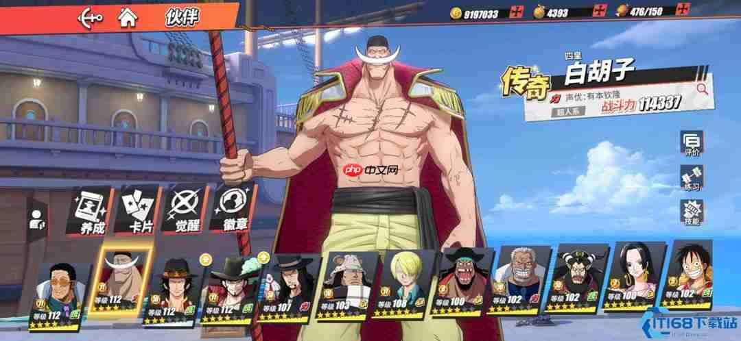 战神养成！白胡子老爹极致加点与战斗技巧拆解