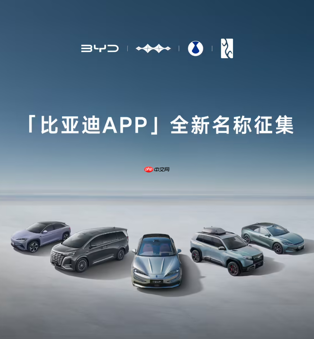 比亚迪 App 全新名称投票结束，“成就梦想”当选第一