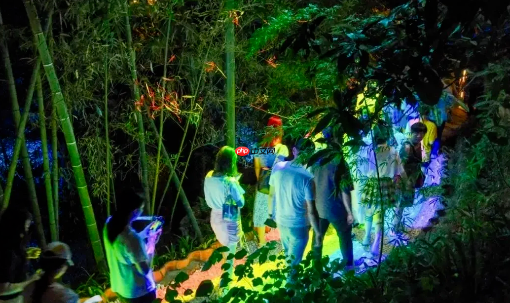 夜游赋能“银发经济”：光影如何引燃万亿康养市场