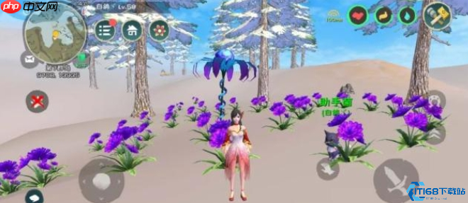 紫色曼陀罗花高效采集指南：发光花朵藏宝图大公开