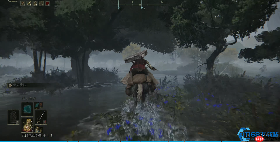 艾尔登法环地图设计巅峰：五大必去区域的极致体验