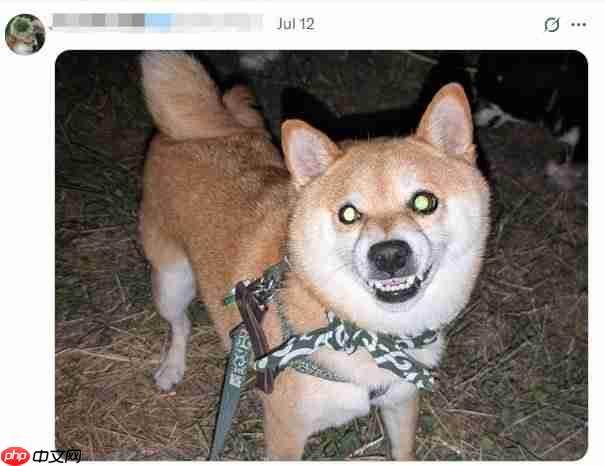 你的宠物够吓人吗？ 《生化危机》官方收集恐怖宠物照