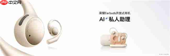 随身耳畔智能体荣耀Earbuds开放式耳机国补到手价594.15元起