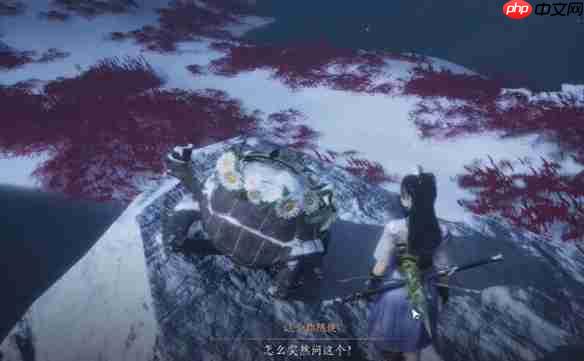 燕云十六声明亮的星任务超详细通关指南