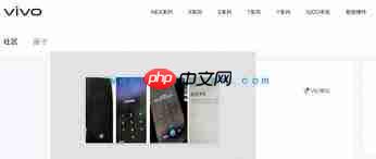 vivo手机锁屏密码忘记怎么解决_vivo手机忘记锁屏密码怎么办