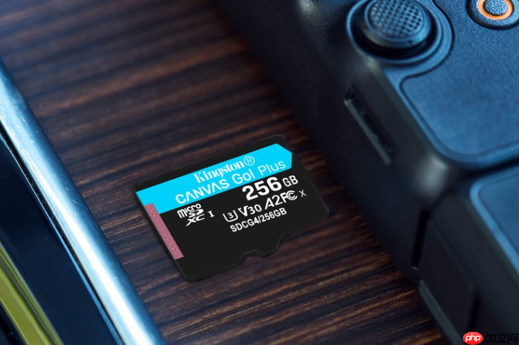 一卡走天下 金士顿Canvas Go！Plus系列存储卡