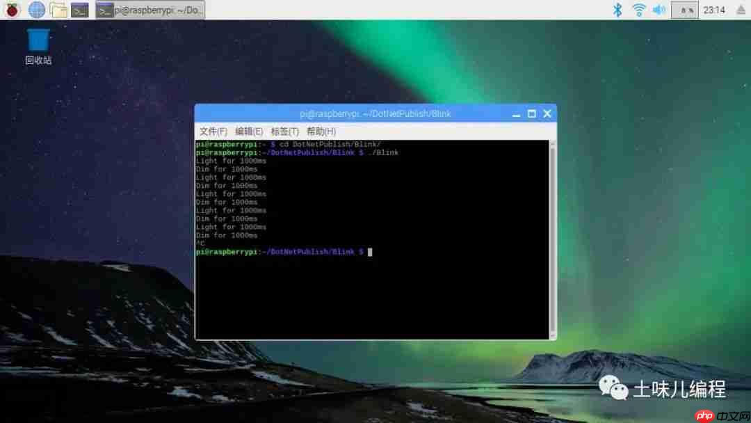 张高兴的 .NET IoT 入门指南：（一）环境配置、Blink、部署