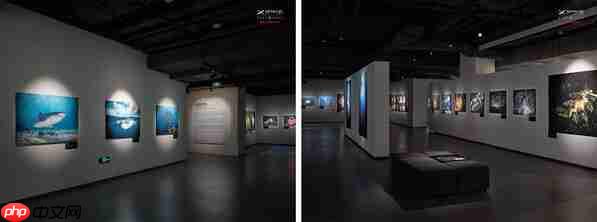 富士胶片X-SPACE上海三展齐聚 探秘山水奇景 捕捉生活的AB面