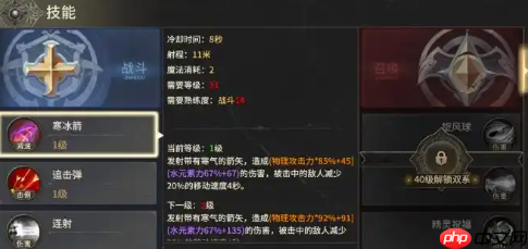 奇迹世界起源弓终极配装指南：装备技能全解析