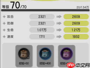 杖剑传说晨曦天使全面解析：最强防御宠物实战指南