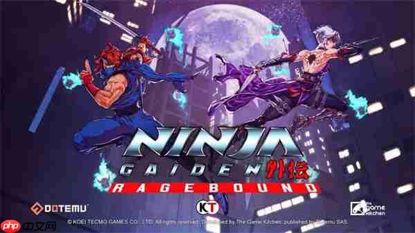 《忍者龙剑传外传:怒之羁绊》宣布7月31日正式发售