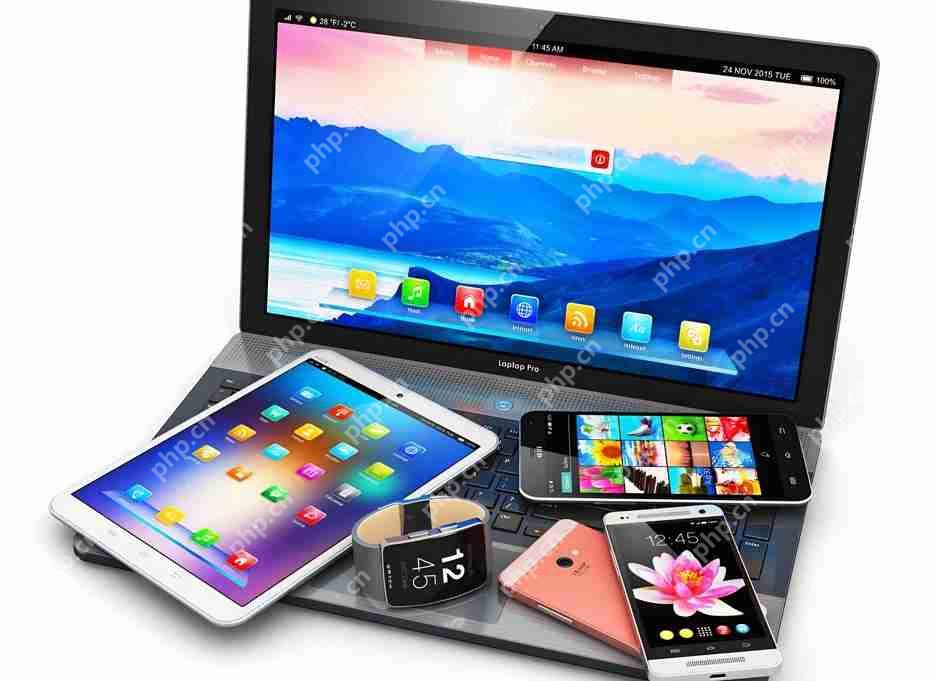 系统二次开发:关键要素与评估标准