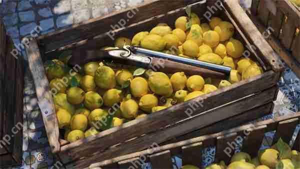 《四海兄弟：故乡》PC配置公布 采用D加密防篡改技术