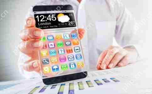 OEM系统软件和定制系统在代还软件中的应用场景